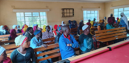Capacity Building
